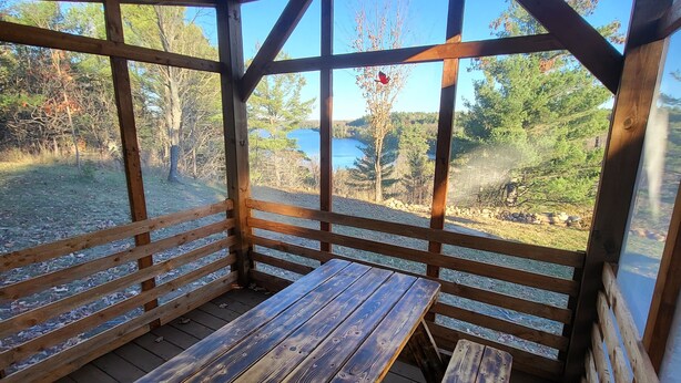 Une terrasse en bois avec des bancs donnant sur un paysage naturel.