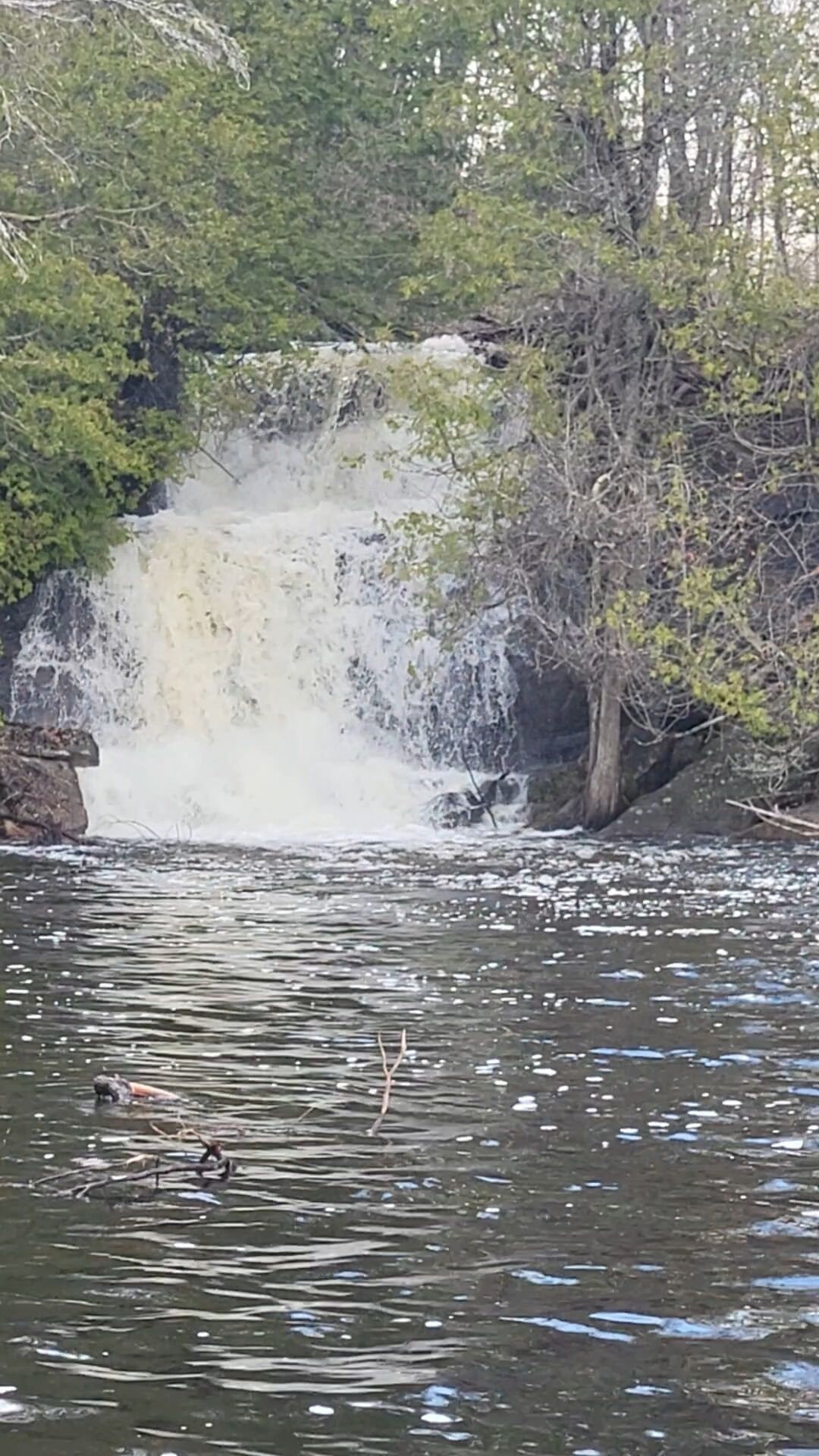 A waterfall cascading into a river surrounded by dense foliage.