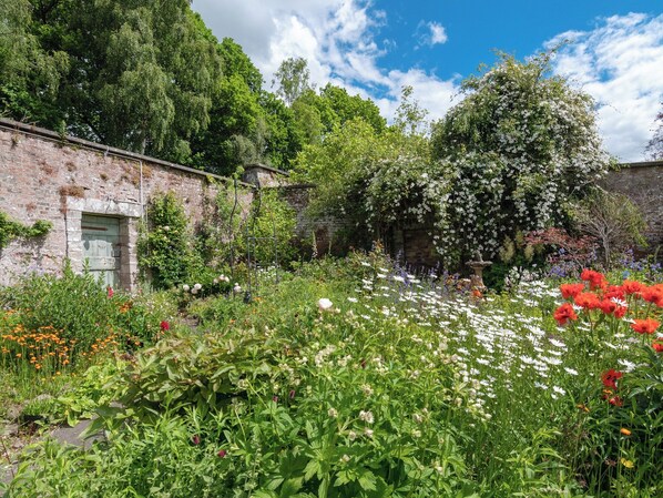 Terrain de lâhĂ©bergement