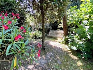 Un jardin où l’on trouve une variété de plantes et d’arbres, une clôture en bois et un banc.