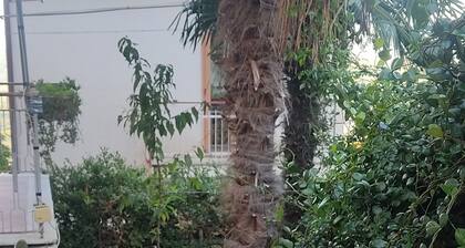 2 Bedroom Apartment in Campania
