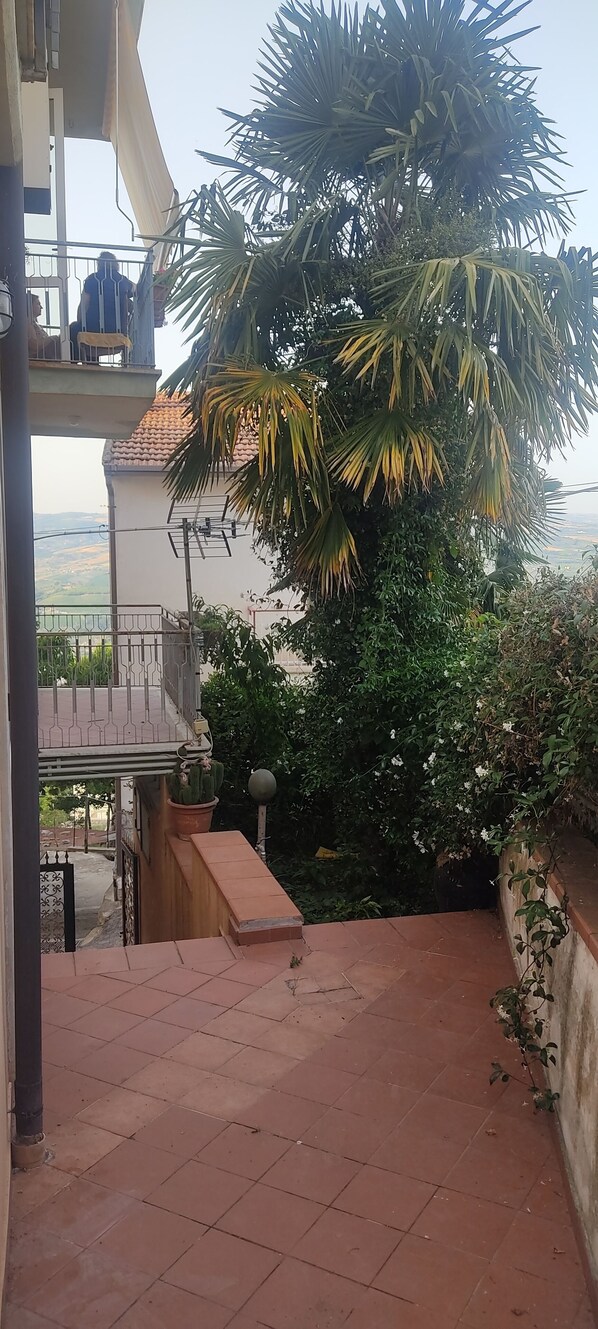 Àrea exterior de l'allotjament