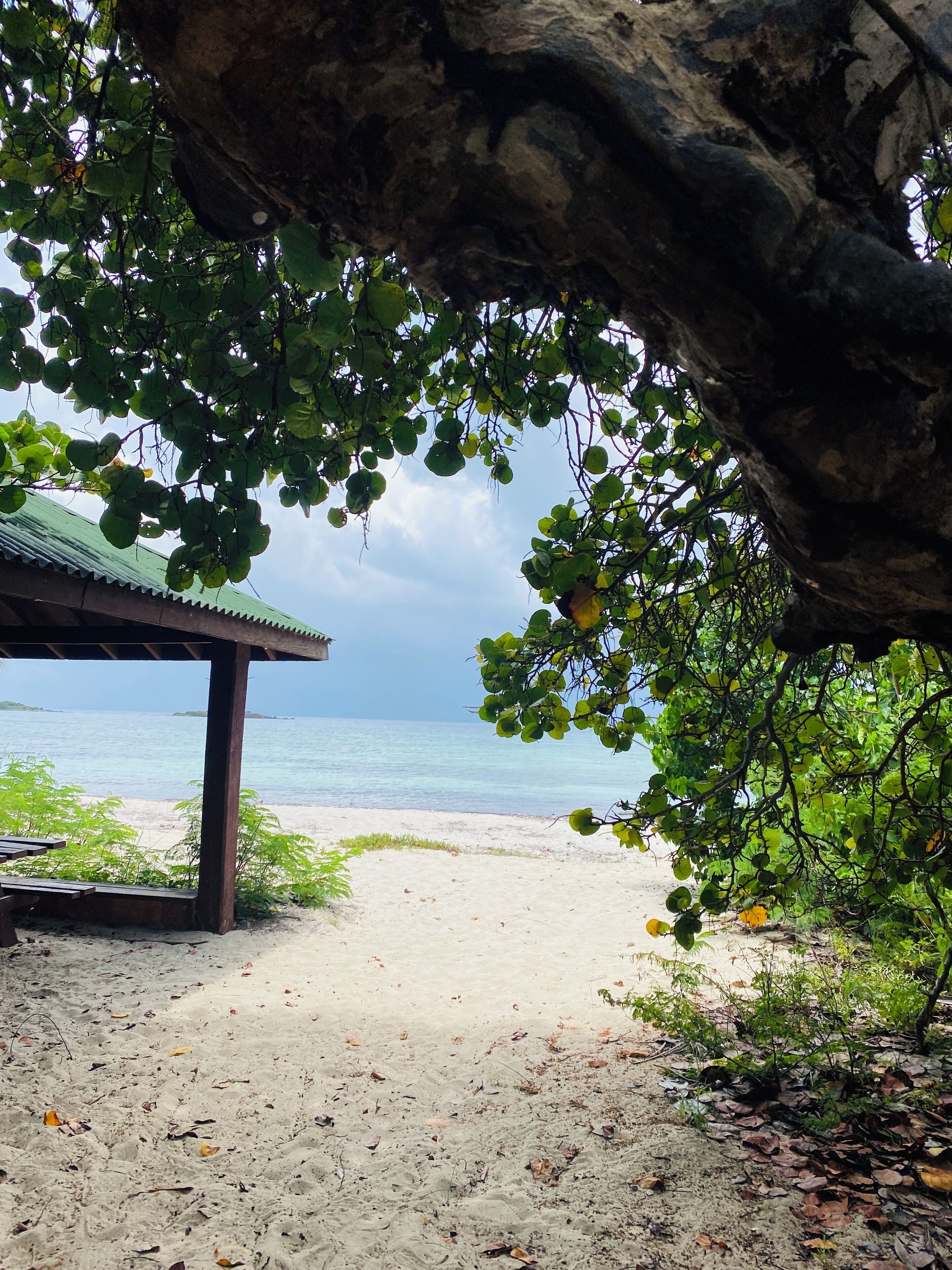 Sun loungers, beach towels