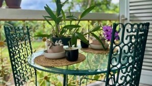 Een glazen tafel met potplanten en een kopje op een balkonhek.