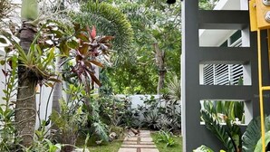 Een tuinpad dat naar een gebouw met een modern ontwerp leidt, omringd door verschillende planten en bomen.