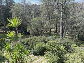 Property grounds - Architect-designed house set in greenery, in a quiet location.  (Saint-Raphaël)