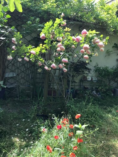 Maison de ville calme avec jardin et patio pour jusqu' à 9 personnes.