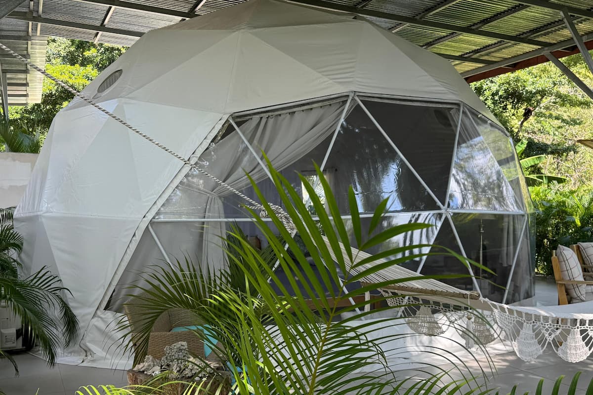 A geodesic dome structure with a transparent side, surrounded by lush greenery and a hammock.