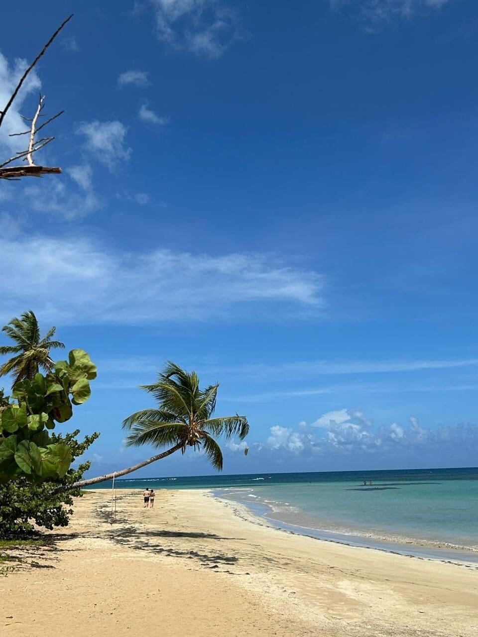 Beach nearby, white sand