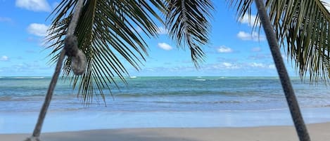 Beach nearby, white sand