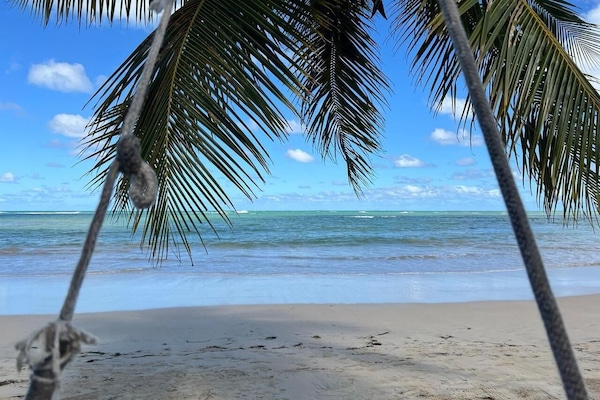 Vlak bij het strand, wit zand