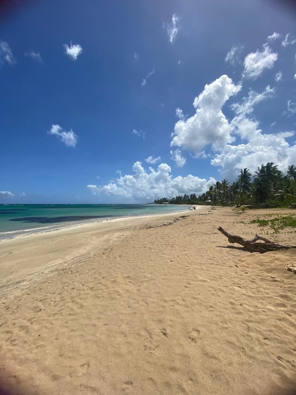 Una playa extensa de arena clara con cielo azul y algunas nubes dispersas.