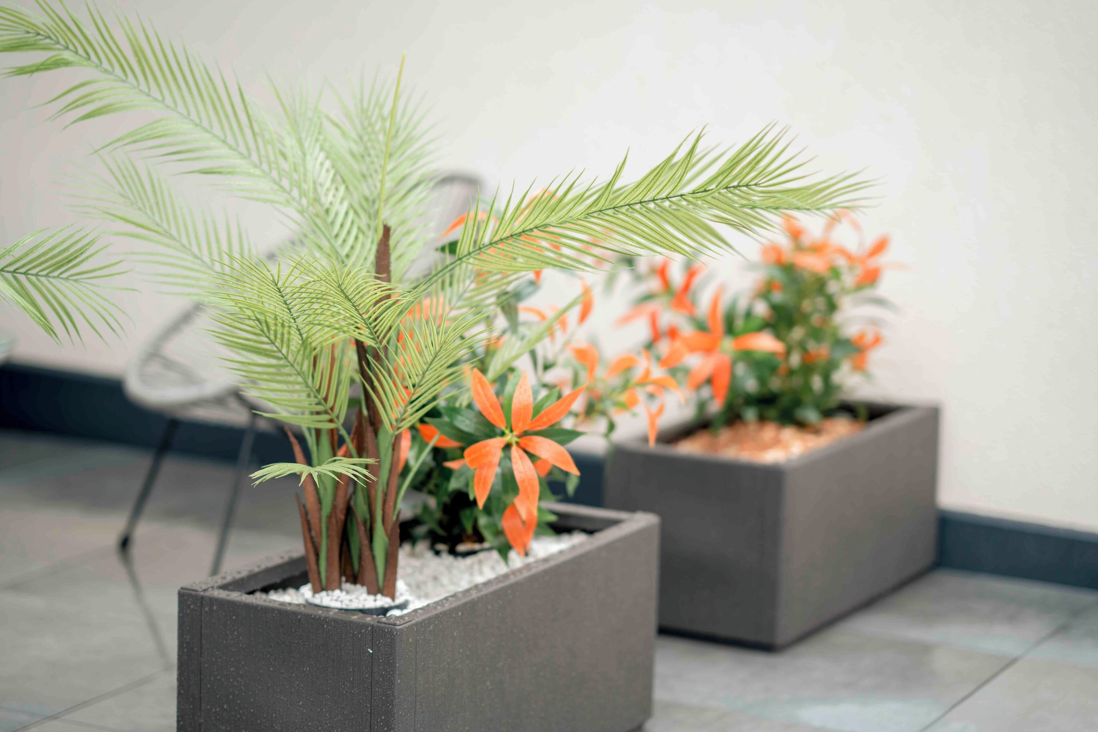 Superior-Doppelzimmer | Hochwertige Bettwaren, Minibar, Zimmersafe, Schreibtisch