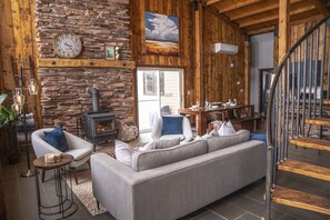Smart TV, fireplace, books