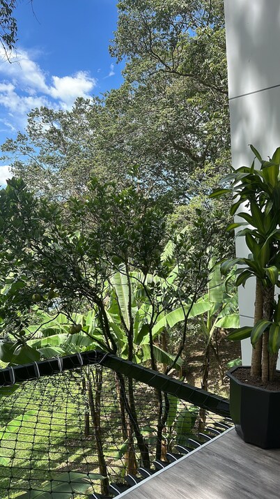 Guadalajara 