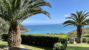 A garden with palm trees, a bench, and a view of the ocean.