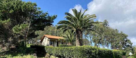 Una casa con un muro de piedra y una palmera frente a ella.