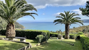 A landscaped garden with palm trees and a bench, overlooking a coastal view.