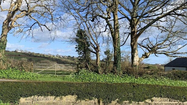 A rural landscape with trees, a hedge, and a gate. - Cozy Coastal Apartment in Kilgetty With Views (Kilgetty)