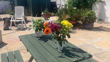 Terras