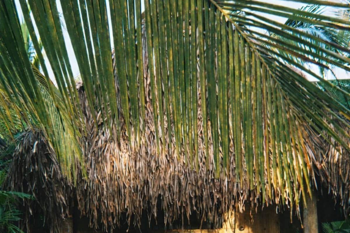 Cabaña panorámica, 1 cama de matrimonio, vistas al mar | 1 dormitorio