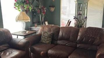 スマートテレビ、暖炉、DVD プレーヤー、書庫