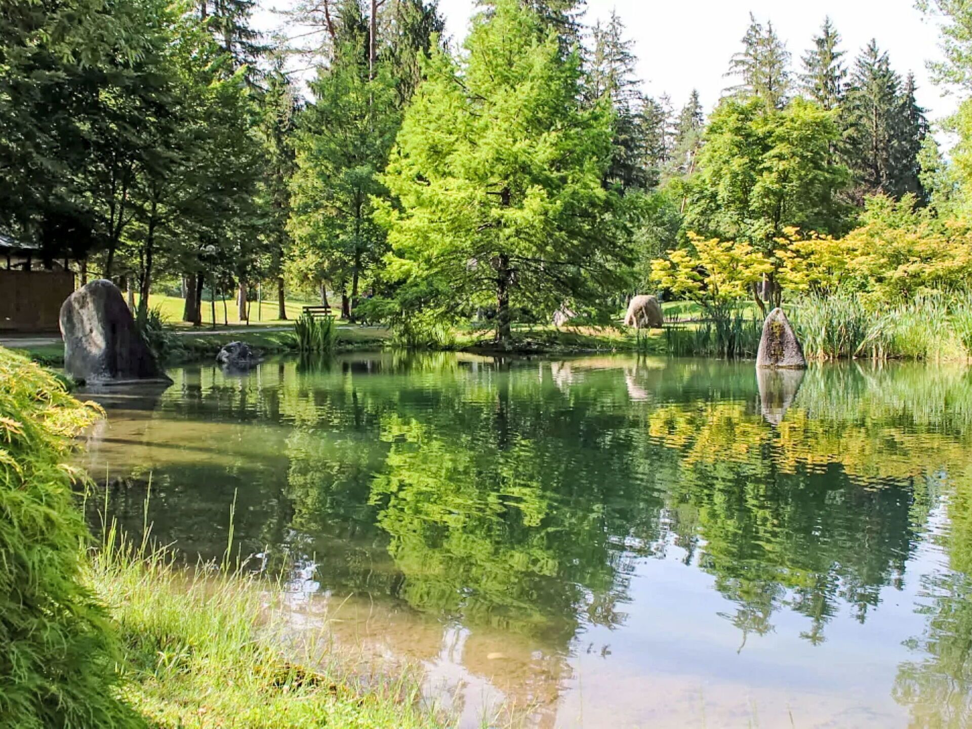 A serene pond surrounded by lush greenery and trees.
