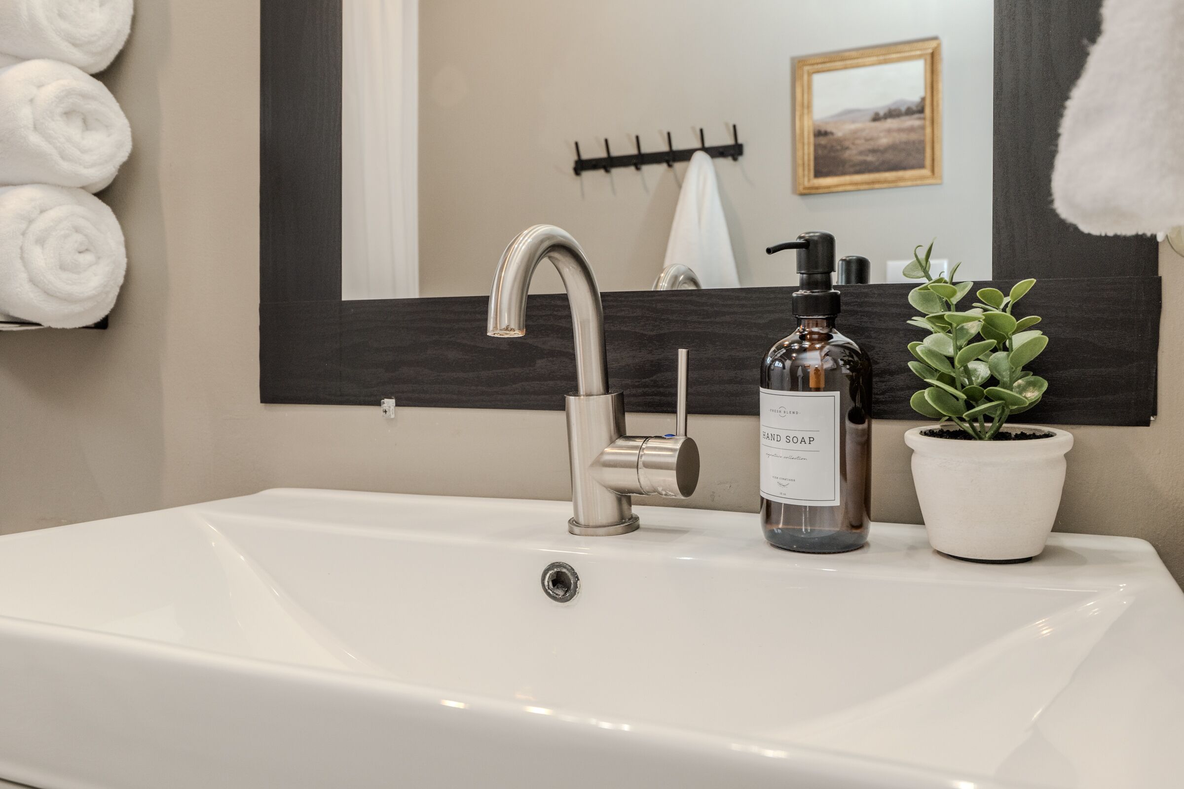 Une salle de bain avec un lavabo blanc, un robinet moderne, un distributeur de savon et une plante en pot.
