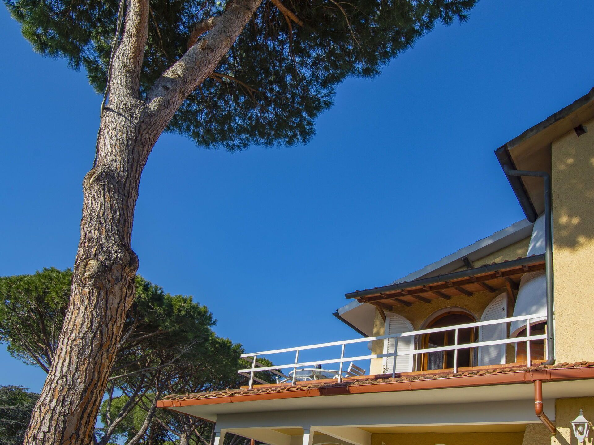 A building with a balcony, a tree in the foreground, and a clear blue sky.