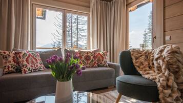 Comfort Apartment | Living room | 40-inch flat-screen TV with satellite channels