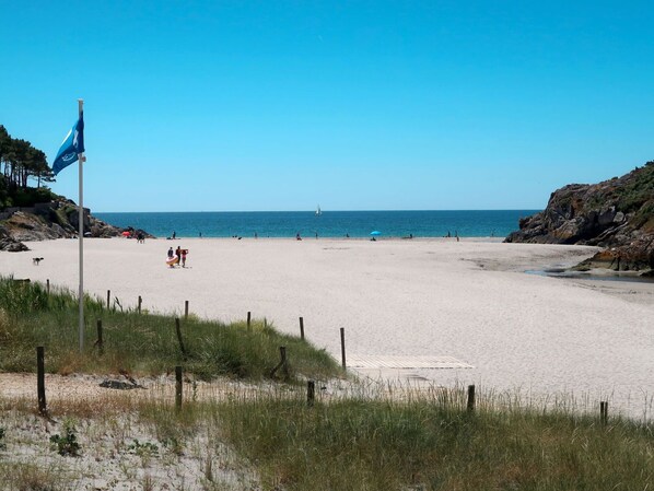 A beach with a flag, sandy shore, and a sailboat in the distance.