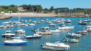 A marina with numerous boats docked.