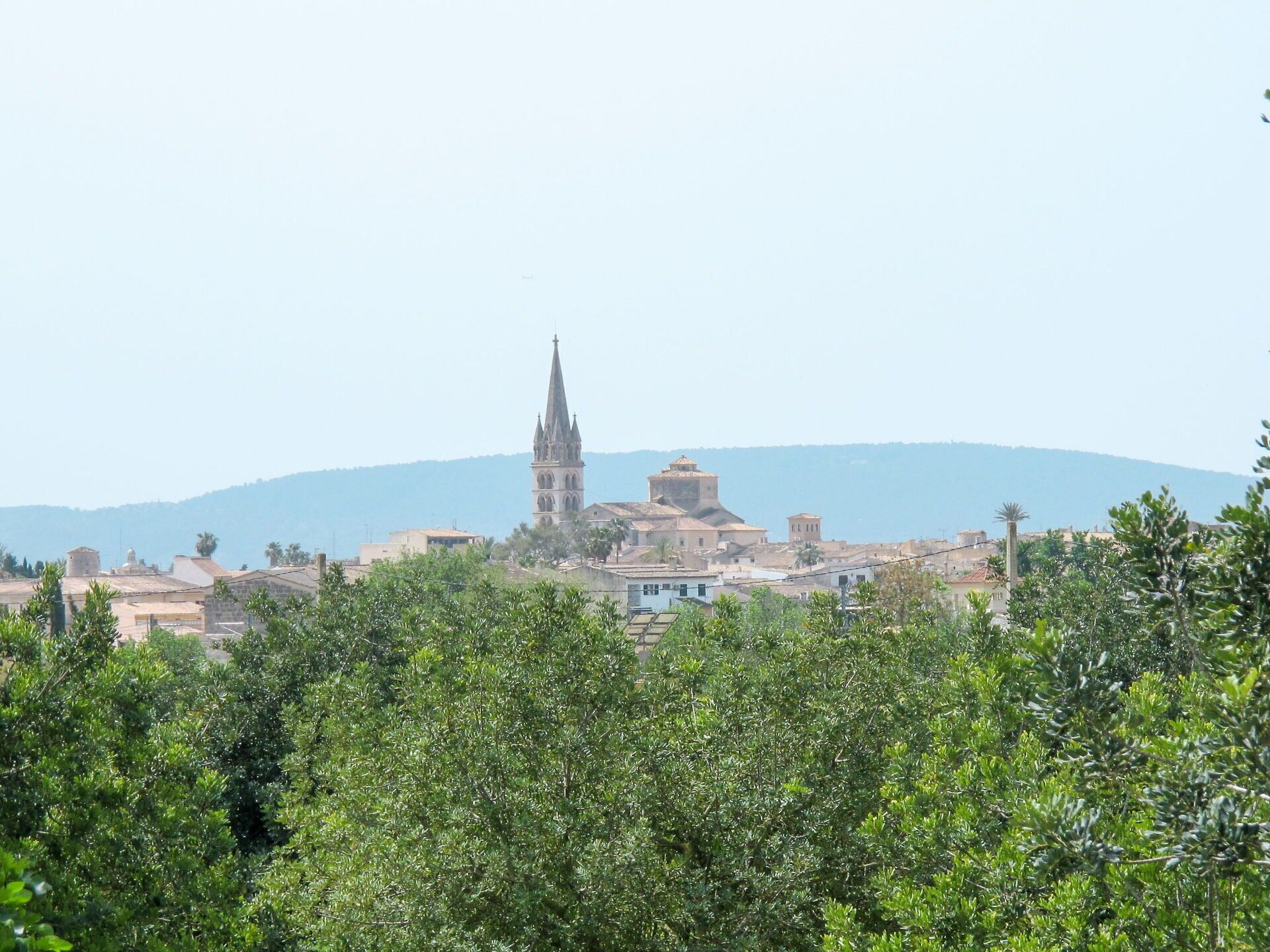 منوع