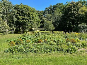 Property grounds - Wonderful private villa for 3 people with WIFI, TV and terrace (Wurzen)