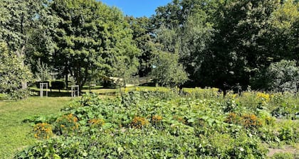 Merveilleuse maison de vacances privée pour 3 personnes avec WIFI, TV, terrasse et parking