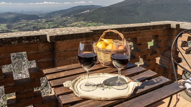 A table with two wine glasses and a basket of fruit on a terrace with a mountain view. - Appartamento la Terrazza (Montasola)