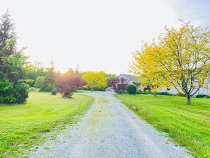 Terrain de l’hébergement 