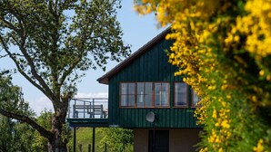 A green building with multiple windows and a door, surrounded by trees and a gravel path. - Nice apartment in villa for 6 guests with WIFI, TV, patio and panoramic view (Inverness)