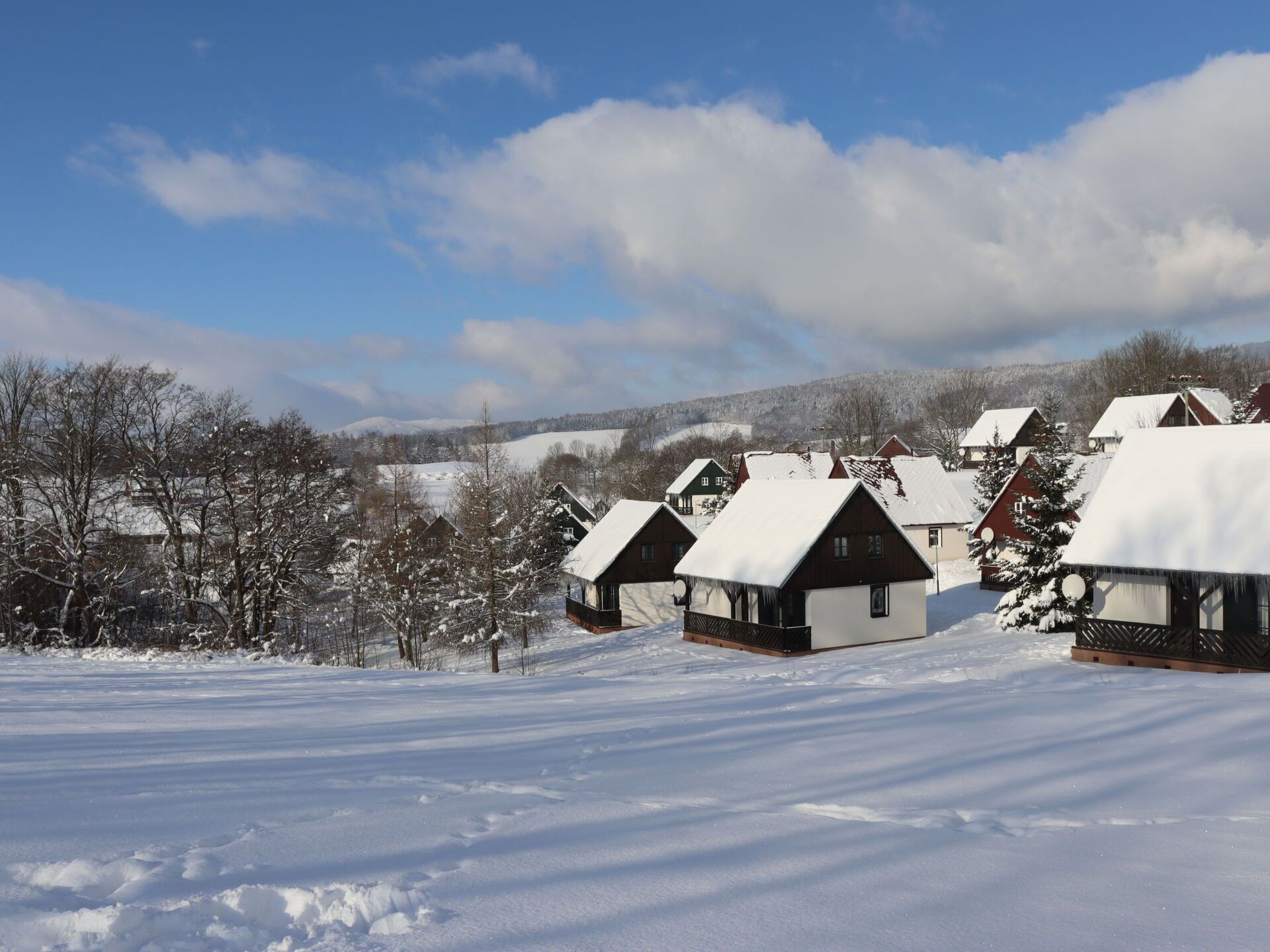Un paysage enneigé avec plusieurs chalets, chacun doté d’un toit en pente et entouré d’arbres.