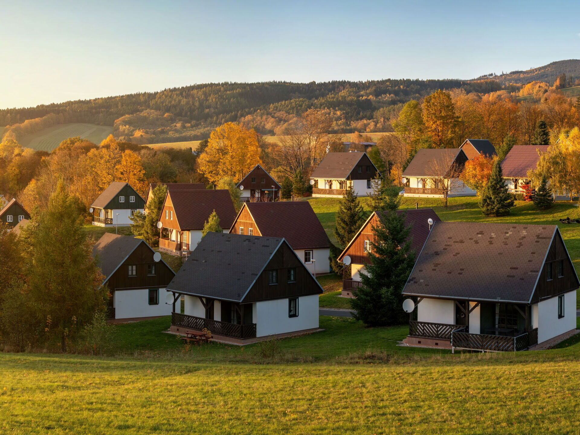 A cluster of traditional wooden houses with sloped roofs, surrounded by a grassy field and trees with autumn foliage.