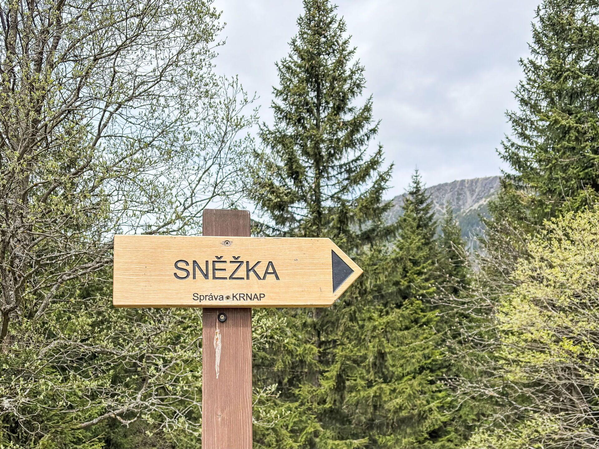 Un letrero de madera señala hacia la derecha con el texto "SNĚZKA Správa KRNAP".