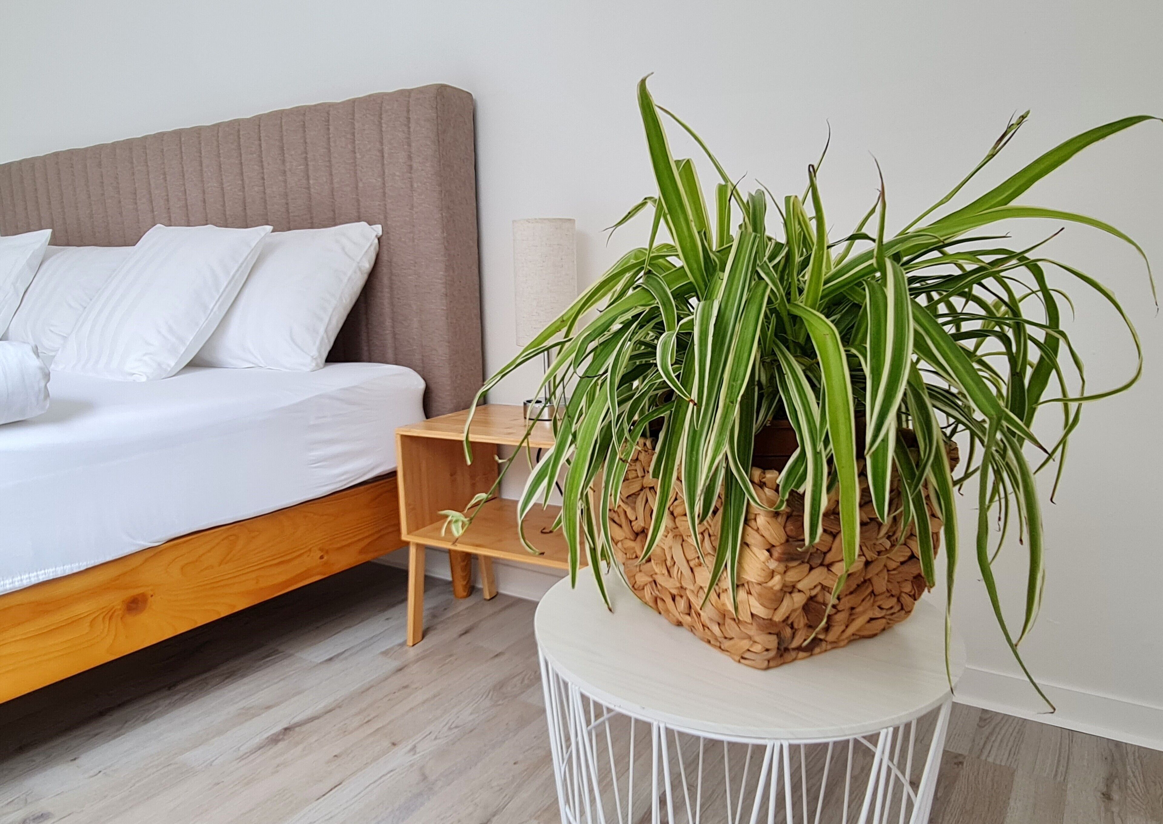 3 slaapkamers, een bureau, een strijkplank/strijkijzer, gratis wifi