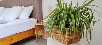 Ferienwohnung Ruhig Im Grünen Gemütlich Gute Anbingung