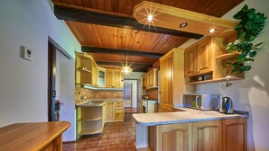A kitchen with wooden cabinets, a granite countertop, and a hanging plant.