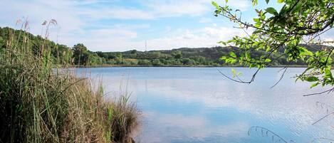 A calm lake with surrounding greenery and a clear sky.