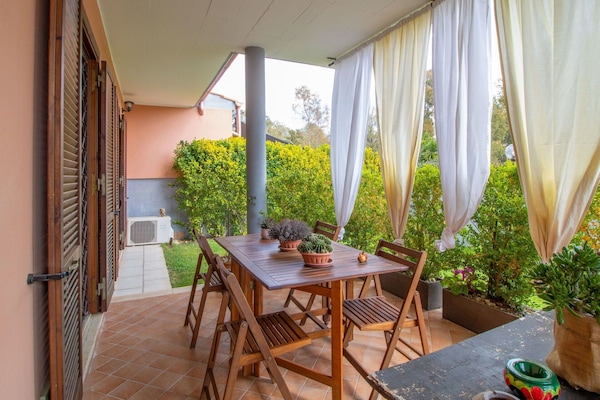 Plante, Table, Meubles, Propriété, Plante D'Appartement, Pot De Fleur, Bâtiment, Chaise, Bois, Ombre