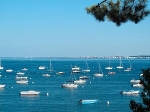 Marina - Stunning private villa for 10 guests with A/C, private pool, WIFI, TV, terrace and pets allowed (Lanton)