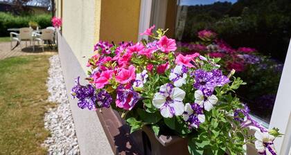 Beautiful apartment for 4 guests with WIFI, TV, patio and pets allowed