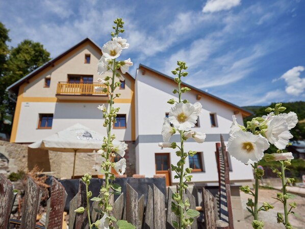 Exterior detail - Cosy apartment for 4 guests with hot tub, WIFI, TV and pets allowed (Vrchlabí)