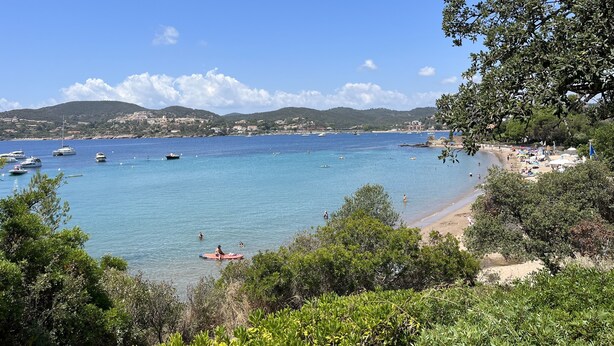 A coastal view with boats, beach, and greenery.